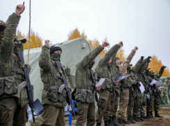 В Анапе и на Кубани выросло число добровольцев СВО – 45% за апрель