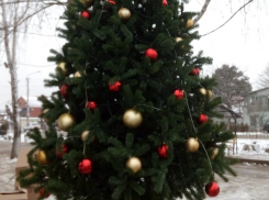 В Цибанобалке под Анапой общественники установили новогоднюю ёлку