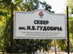 Светлана Маслова ответила анапчанам: в сквере Гудовича убирают только аварийные деревья, а высадят около 100 новых