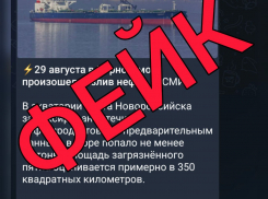 Оперштаб опроверг разлив нефти в 350 км 