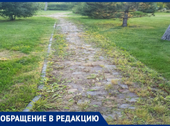 Анапчанка Лариса Ильина рассказала, что не так с Ореховой рощей 