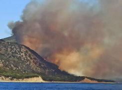 Прямо сейчас в Утрише под Анапой горит лес