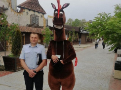 В Анапе «конь» требовал за фото с ним сумму большую, чем оговаривалось ранее