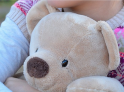 В Международный день плющевого мишки в Анапе будет тепло до +23