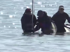 Ученые оценили восстановление морского дна после ЧС в Анапе