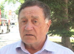 Александр Додура считает, что причиной массовой гибели птиц в Анапе мог стать голод