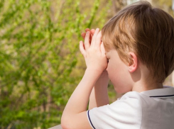 Тараканы на завтрак, плесень на обед: детский лагерь Анапы оказался в центре скандала