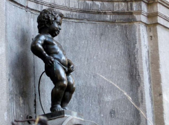 Школьник справил нужду на главную ёлку Новороссийска: похоже, не только в Анапе проблема с туалетами