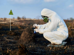 Сумма ущерба природе на Кубани выросла в 5 раз – кто из анапчан к этому причастен