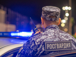 Росгвардейцы задержали разыскиваемого за кражу мужчину в селе под Анапой 