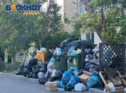 «Жители платят за вывоз мусора и вправе рассчитывать на чистоту и порядок» – Вениамин Кондратьев