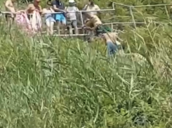 В Анапе на лестнице «300 ступеней» в обрыв упал трёхлетний мальчик