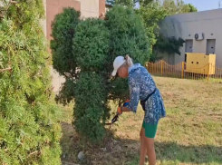 В Анапе из куста выстригли Чебурашку. Пока неузнаваемого, но обещают доработать