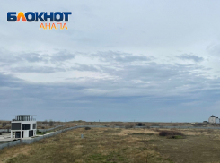 В Международный день прав животных в Анапе пасмурно и возможен небольшой дождь