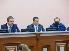 В Анапе на 1,5 млн рублей увеличили финансирование на отлов и содержание бродячих животных