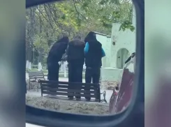 В Анапе установили школьниц после попытки сломать скамейку