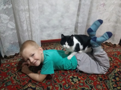  «Ап!» - и котик на попу присел
