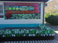 Ученики гимназии «Росток» в Анапе собрали продуктовые наборы для пожилых людей