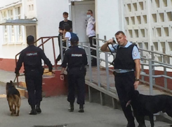 Вокруг школы №4 в Анапе перекрыли движение и появились полицейские с собаками
