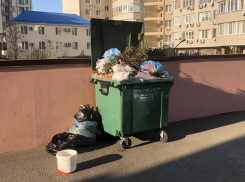 Жители многоэтажки в Анапе больше недели мучались от зловония из переполненного контейнера