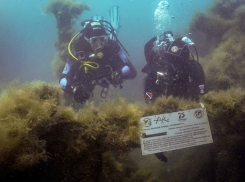В Анапе на дне моря дайверы установили памятный знак на затонувшем в войну танкере