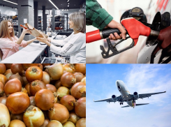 Топливо в Анапе продолжает дорожать – лук подешевел почти на треть