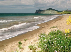 Земли экс-депутата Анапы отдадут под природный парк и заказник