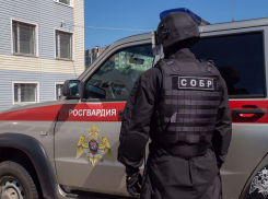 2 сентября, в День Росгвардии, в Анапе обещают дождь