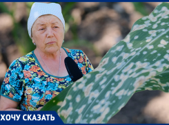 «Урожая не будет»: в станице Анапской все сады побило какой-то химией