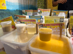 Сколько стоит мёд на ярмарке «Медовый и яблочный Спас» в Анапе