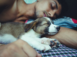 Анапчане обсуждают, надо ли вводить на курорте черноморскую сиесту