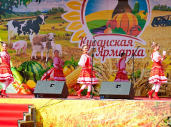 Анапские аграрии представляют свою продукцию на одной из крупнейших сельхозвыставок России