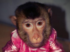 Контактные зоопарки в Анапе будут закрыты