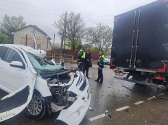 Жёсткие аварии и убийство кошки: что случилось в Анапе