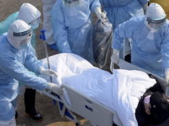 В крае выявили 97 новых случаев COVID-19. Сводка на 10 августа