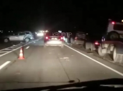 В массовом ДТП под Анапой пострадали три автомобиля и корова: животное погибло