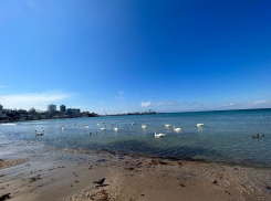 Гороскоп для анапчан с 10 по 16 апреля: Весам не стоит сравнивать себя с другими