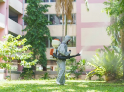 В Анапе на обработку города от клещей выделили 1 млн рублей