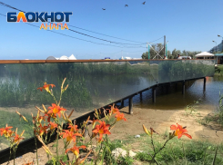 Такого еще не видели: на реке Анапке сделали зеркальный мост