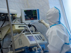 15 августа на Кубани за сутки +87 случаев заражения COVID-19. В Анапе прибавки нет