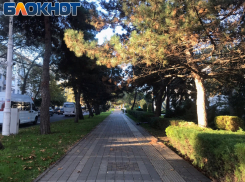В День первых признаков зимы в Анапе будет без осадков