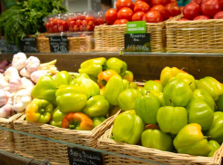 Кубань вошла в тройку лидеров по обороту розничной торговли — Анапа также внесла значительный вклад