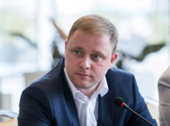 Мэр Анапы: «Площадь виноградников планируем увеличить в 6-7 раз» 