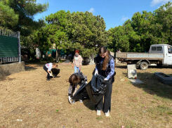 В Анапе на старом кладбище прошёл субботник