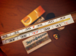 Анапчане обсуждают, нужно ли измерять температуру детям при входе в школу