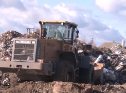 Собственники участков в Анапе ответят рублём за несанкционированные свалки