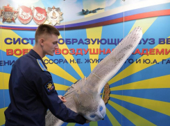 В анапском технополисе «ЭРА» представили беспилотную полярную сову и сокола