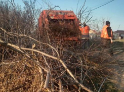 Около 100 кубометров мусора за день вывезли из сельских округов Анапы