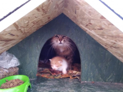 В Анапской новостройке поселилось счастливое семейство