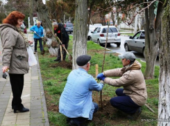 На Всекубанском субботнике анапчане могут помочь сделать свой город более чистым и ухоженным 